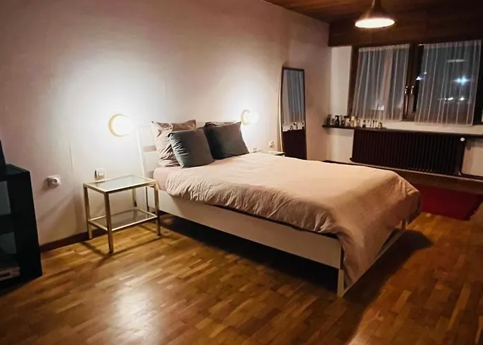 Pensjonat Dans Maison Midcentury Chaleureuse Proche Centre-ville Strasburg