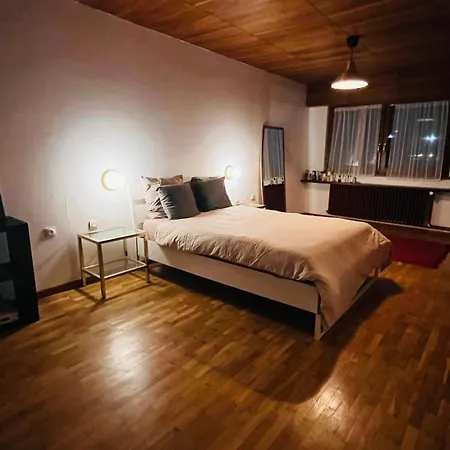 Pensionat Maison Midcentury Chaleureuse Proche Centre-ville Strasbourg